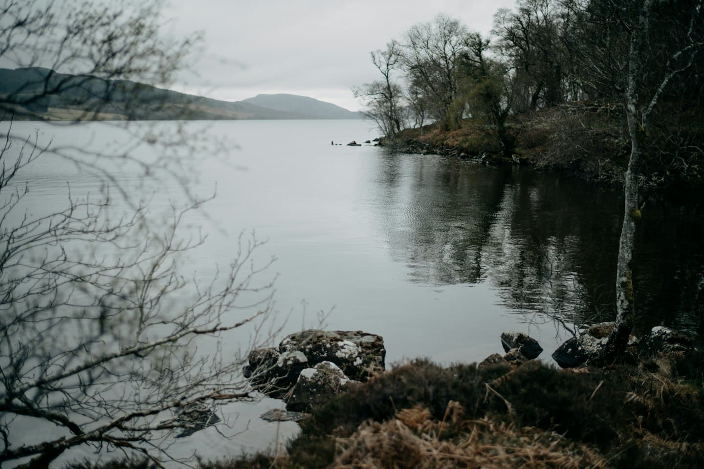Bare trees and mossy rocks surround a calm lake.
