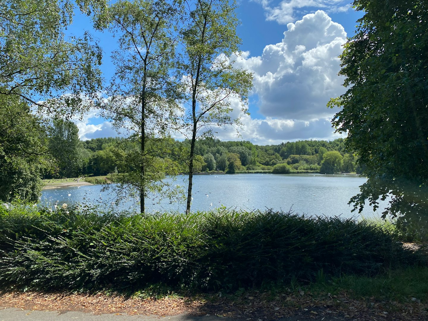 A paved path leads alongside a tranquil lake surrounded by trees.