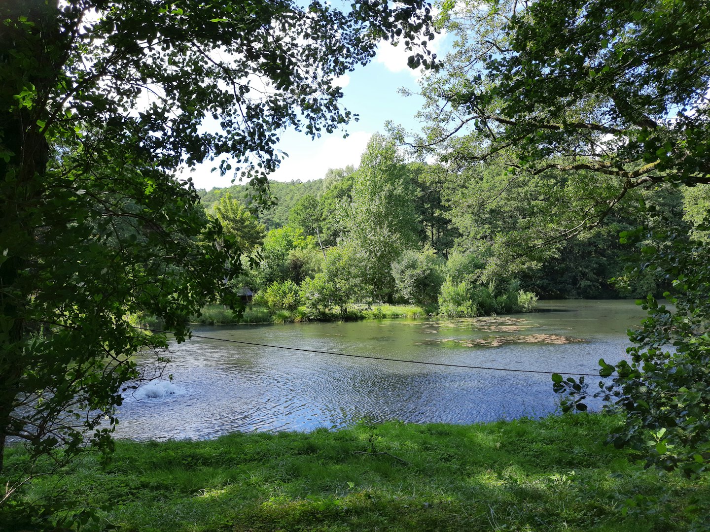 Lush green trees surround a calm lake under a cloudy sky.