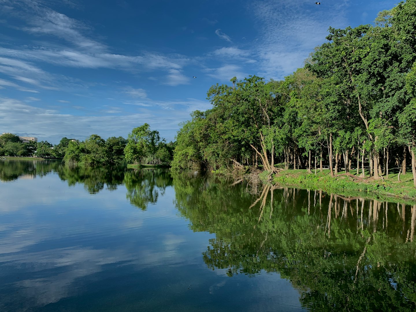 Green trees line the banks of a calm, reflective lake.