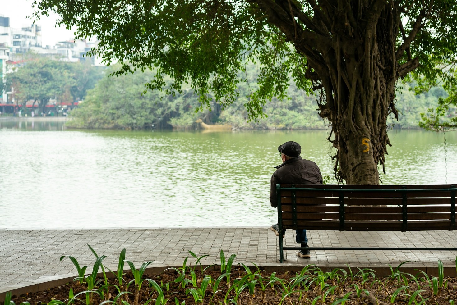 Seasonal Waterfront Care and Safety Guidelines